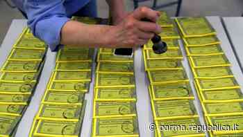 Elezioni, a Parma Pd candida Giuseppe Negri come "quota blu" - La Repubblica