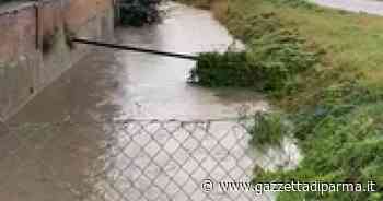 Canale in piena a Vicofertile - Video - Gazzetta di Parma