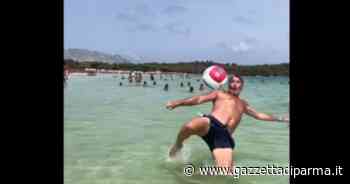 Il Parma cerca l'attaccante? Sandro Melli si candida: "Costo poco e sono esperto" - Gazzetta di Parma