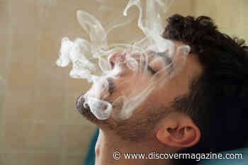 Tracing the Link Between Marijuana and Mental Health