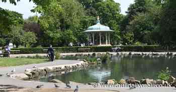 Free Animal Magic summer event at Pearson Park today - Hull Live