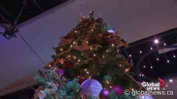 Edmonton’s Festival of Trees celebrates 1st summer fundraiser - Global News