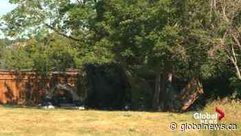 Edmonton sees increase in homeless encampment complaints compared to same time last year - Global News