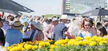 Off to the Races: The Packwood Grand is back in Edmonton this weekend - Curiocity