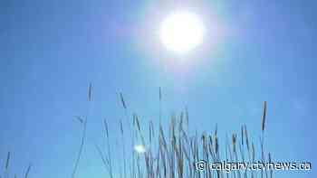 Calgary to see a touch of moisture after a hot, dry summer | CTV News - CTV News Calgary