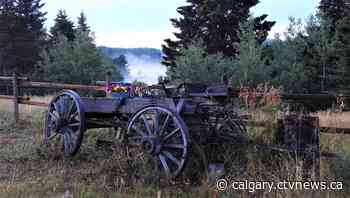 Calgary weather for Monday, Aug. 22 | CTV News - CTV News Calgary