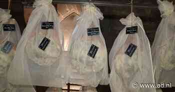 Chef-koks in de rij voor 'heilige' ham die is gerijpt in de nok van een Zuid-Franse kathedraal - AD