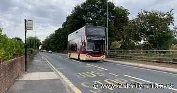 Hull passenger slams East Yorkshire Buses 'cutbacks' during cost of living crisis - Hull Live