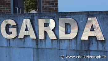 Perpetrator of heinous rural crime must be brought to justice – TD - Connaught Telegraph