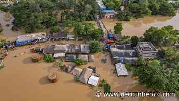 Water level drops in rivers but more rain in store for flood-hit Odisha - Deccan Herald