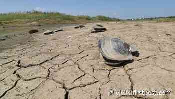 As dry as a desert: China's rivers dry up as it battles most severe drought - Photos News - Firstpost