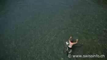 Water quality in Swiss rivers and lakes improves - SWI swissinfo.ch in English