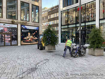 Blühender Bleiwurz für die Sedelhöfe in Ulm