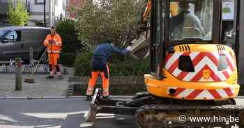 Vanaf morgen verkeer over één rijstrook Molenheidebaan door dringende velling boom - Het Laatste Nieuws
