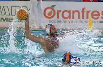 Nuoto Catania, Bomber G sarà il capitano degli etnei - Livesicilia.it