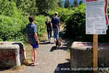 Have you seen this new off-leash dog trail in Squamish? - Squamish Chief