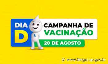 Saúde de Birigui promove Dia D de multivacinação neste sábado, dia 20 de agosto - Prefeitura de Birigui (.gov)