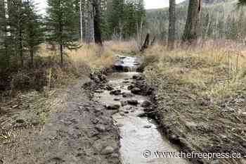 City of Fernie throws support behind repairs to Easy Beaver trail - The Free Press