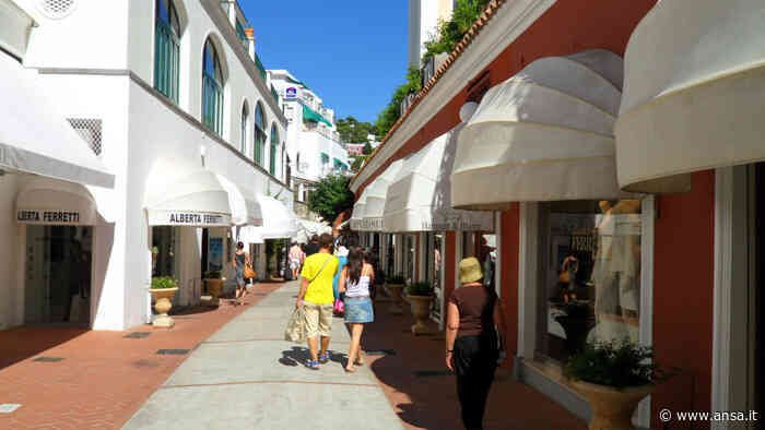 Controlli a Capri dopo malore bimba, sanzionati supermercati - Agenzia ANSA