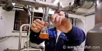 Exploding fish oil market opening up new frontier for Alaska pollock producers - IntraFish