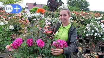 Oschatz: Warum Baumschülerin Laura Geisler ihren Job so liebt - Leipziger Volkszeitung