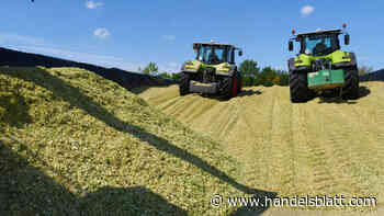 Anlagestrategie: Die Börse giert nach noch mehr Nachhaltigkeit