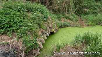 Video shows abandoned Hereford and Gloucester Canal tunnels | Hereford Times - Hereford Times