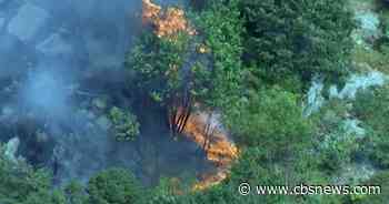 Large brush fire burns 9 acres in Gloucester - CBS Boston