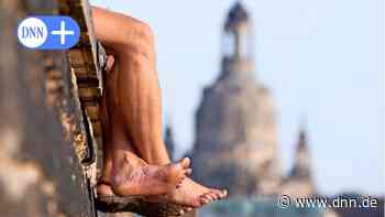 Hitze in Dresden: Forscher informieren über den Umgang mit Hitzeperioden - Dresdner Neueste Nachrichten