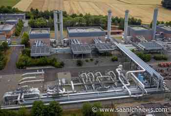 Euro falls below parity with US dollar, what does it mean? - Saanich News