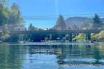 Paraglider walks away from Island crash, stranded tubers need rescue help - Saanich News