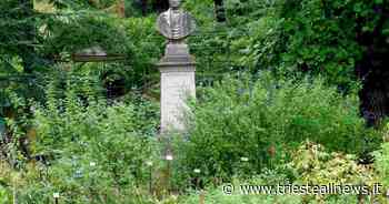 Orto Botanico Trieste, gran ritorno per le passeggiate... - Trieste News