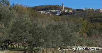 Caresana, scoperte tre torri medievali: servivano per la difesa... - Trieste News