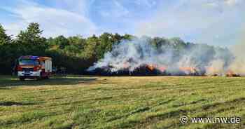 Polizei vermutet Brandstiftung nach Großfeuer von Strohballen in Borchen - Neue Westfälische