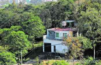 Xalapa y Coatepec perdieron más de mil hectáreas de cobertura arbórea por mancha urbana - Formato Siete