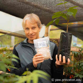 Craig Leon '85 Is Growing Native Foods in Ecuador's Cloud Forest - Princeton Alumni Weekly