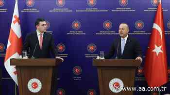 Türkiye extends helping hand to Georgia over forest fire - Anadolu Agency | English