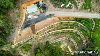 Kuranda man's mission to grow off-grid edible forest using syntropy, permaculture techniques - ABC News