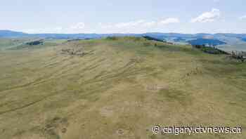 Grasslands, forest and at-risk species protected near Claresholm | CTV News - CTV News Calgary