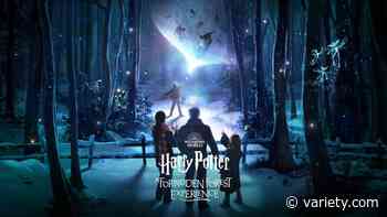 ‘Harry Potter: A Forbidden Forest Experience’ to Make U.S Debut - Variety