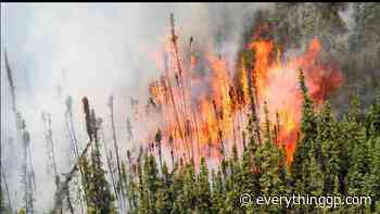 Four new wildfires recorded in Grande Prairie Forest Management area - EverythingGP