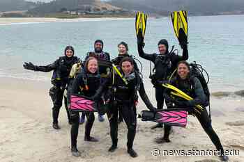 Kelp forest ecology course trains future underwater scientists - Stanford Report - Stanford University News
