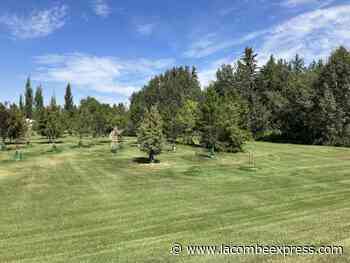 Application deadline for this year’s Birthplace Forest celebration is coming up - Lacombe Express
