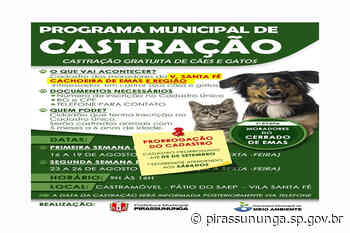 Prorrogado prazo de cadastramento para castração - Prefeitura Municipal de Pirassununga (.gov)