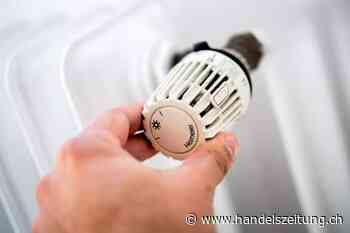 So will der Bundesrat im Winter 15 Prozent Gas sparen