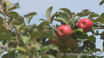 Apple orchards delay openings due to climate