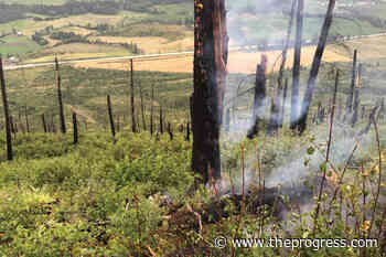 B.C. wildfires: Lightning continues to spark fresh blazes - Chilliwack Progress