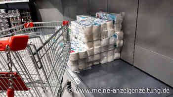 Gas-Krise: Papierindustrie schlägt Alarm - Jetzt droht wieder ein Toilettenpapier-Mangel