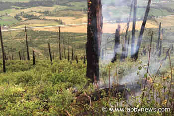 B.C. wildfires: Lightning continues to spark fresh blazes