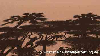 Vormenschen liefen schon vor Millionen Jahren aufrecht